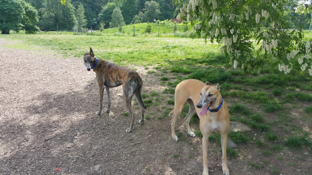 Emma and Maggie